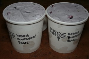 Vodka Blueberry Basil Craft Ice Cream