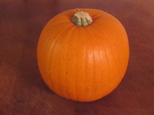 Pumpkin