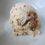 Parsnip Graham Cracker