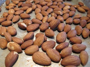 Toasted Almonds