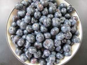 Minnesota Blueberries