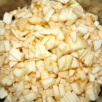 Chopped Apple