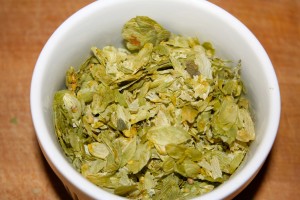 Cascade hops