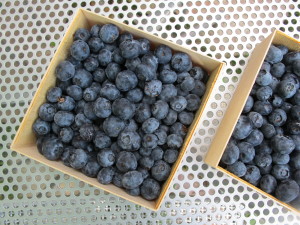 blueberries - Bayfield Fruit Company