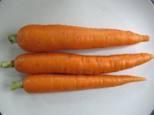 Carrots